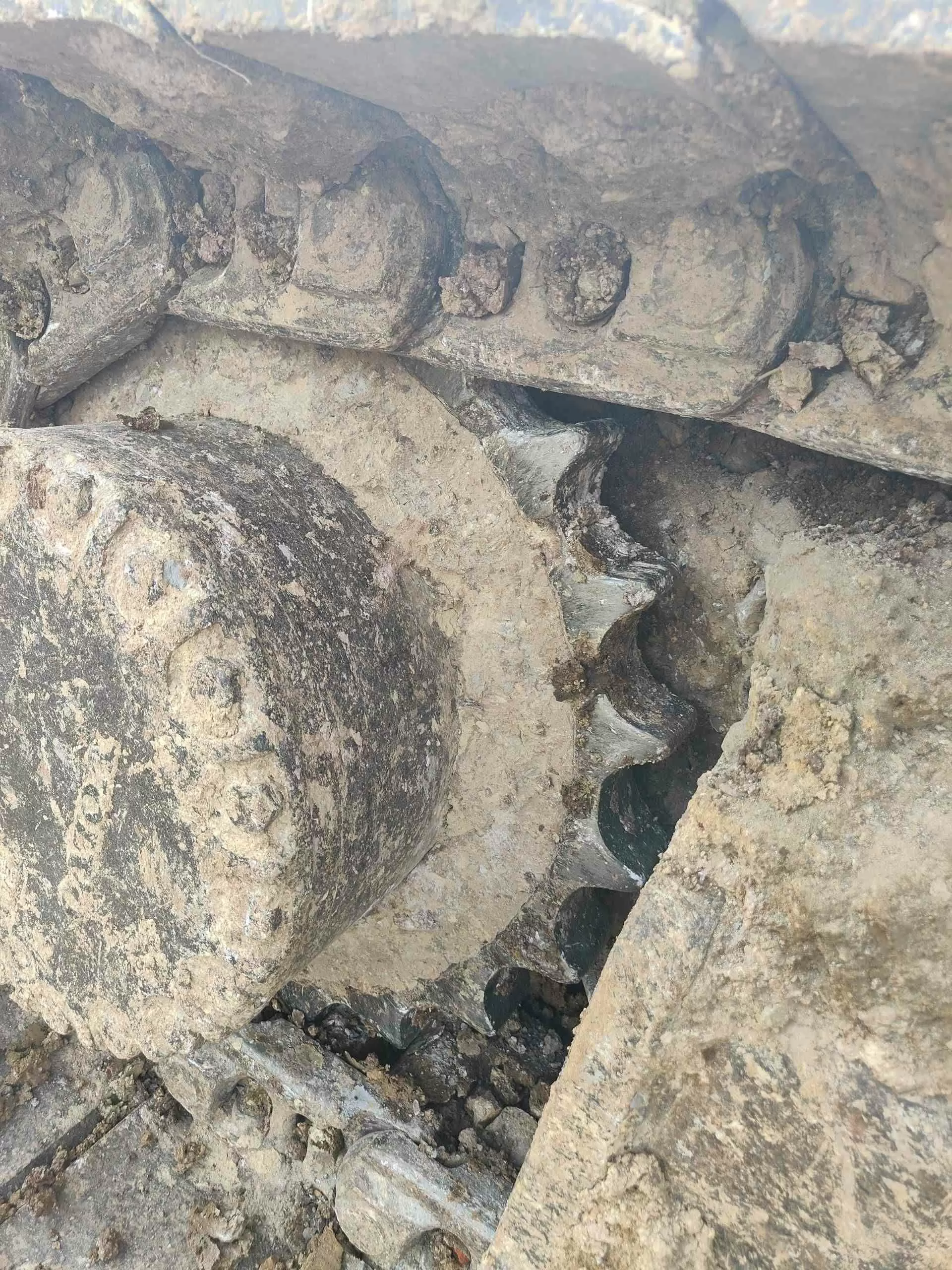 20231122111729303